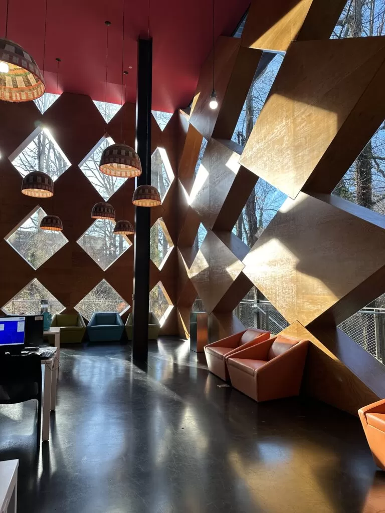 Interior of the Francis A. Gregory Library in Hillcrest. Photo by Mariana Barros-Titus.